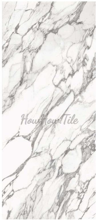 瑰麗大理石素磚立體花磚 60X120 GY6615-8319