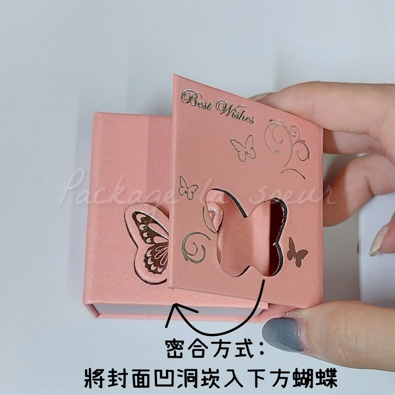 蝴蝶多功能小套組盒3