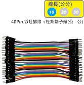 40P 雙頭杜邦 公-公 10CM 彩虹排線