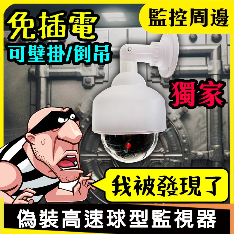 進階款-高速球 擬真監視器攝影機