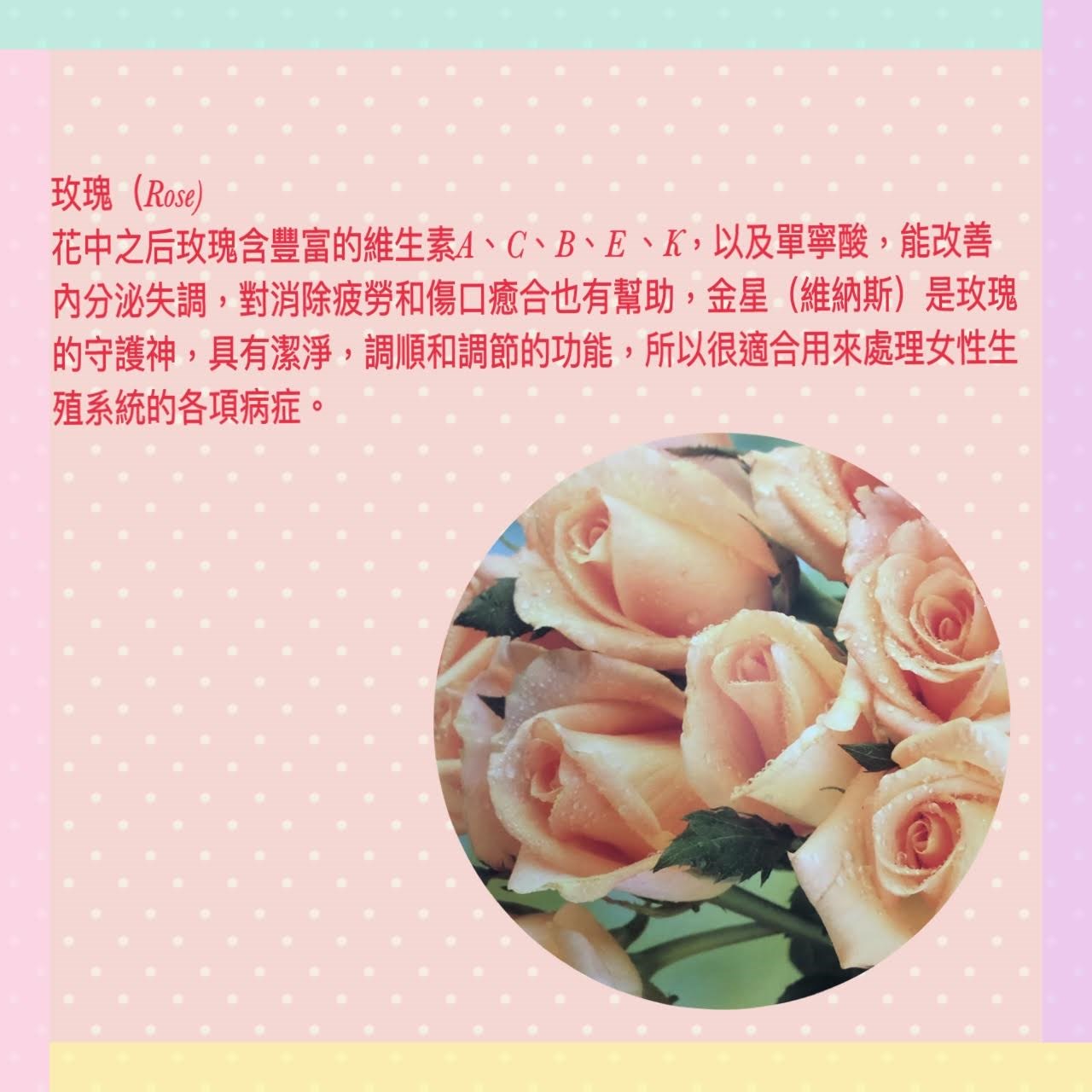 桂香玫瑰花朵茶包