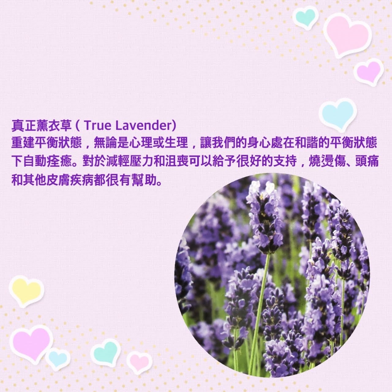 安眠舒緩放鬆茶包