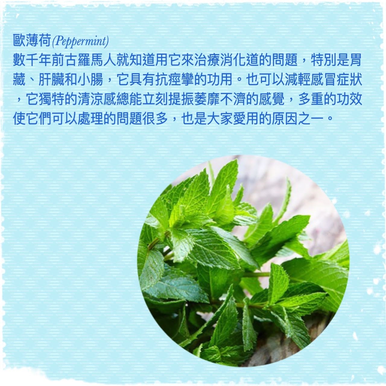 薰荷香氛舒緩凝膠