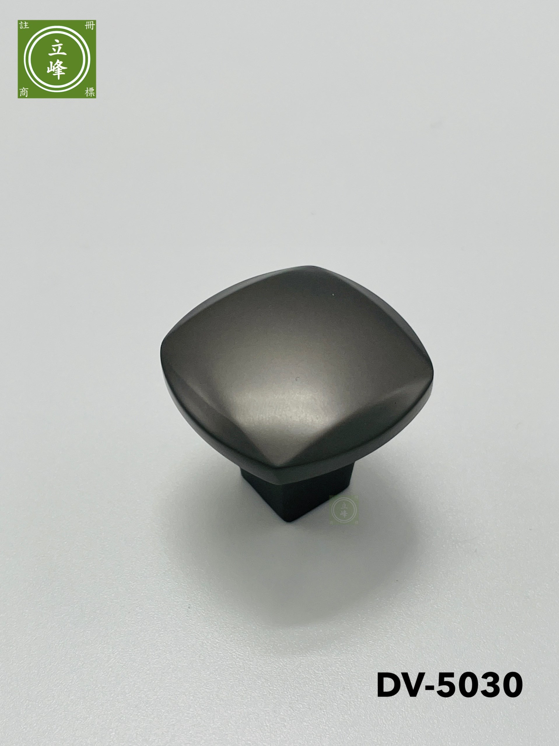 DV-5030 黑色