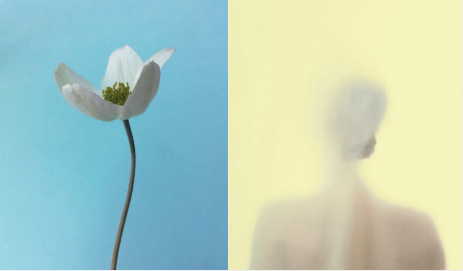 Pantone View Colour Planner SS 22