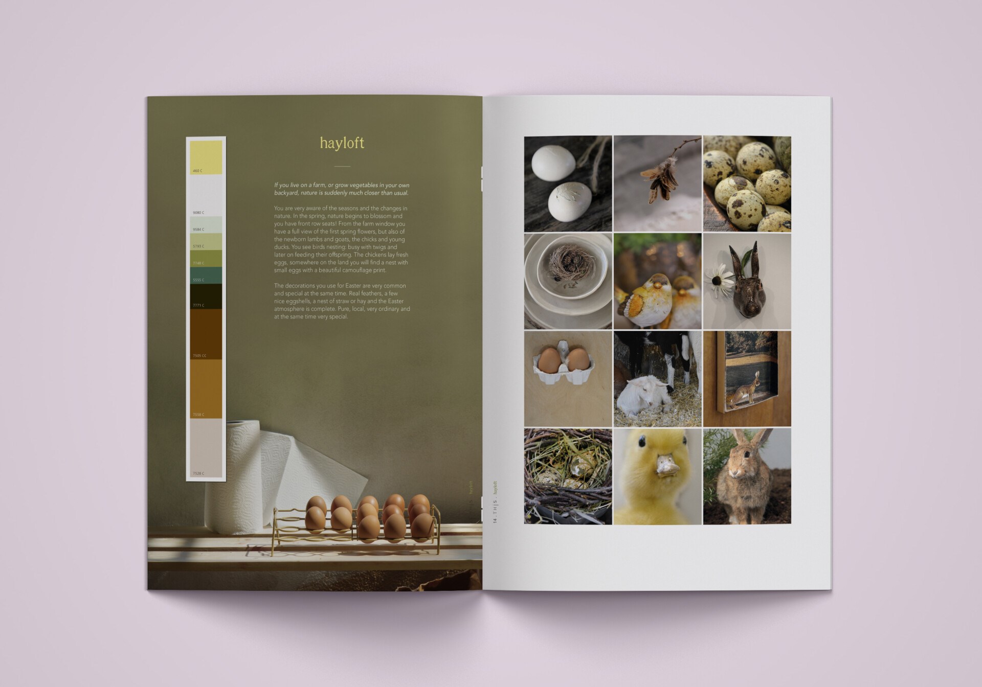 THJS Cover INDEPTH SS22 Seasonal Spring Easter