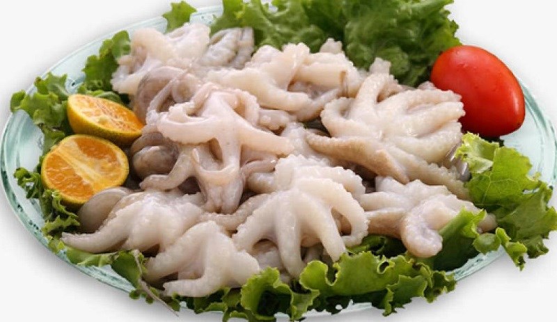 小章魚