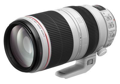 Canon EF 100-400mm f4.6-5.6L IS Ⅱ出租,Canon EF 100-400mm f4.6-5.6L IS Ⅱ租借,鏡頭出租,鏡頭租借