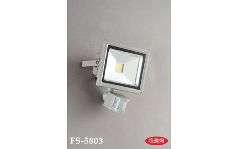 FS-5803