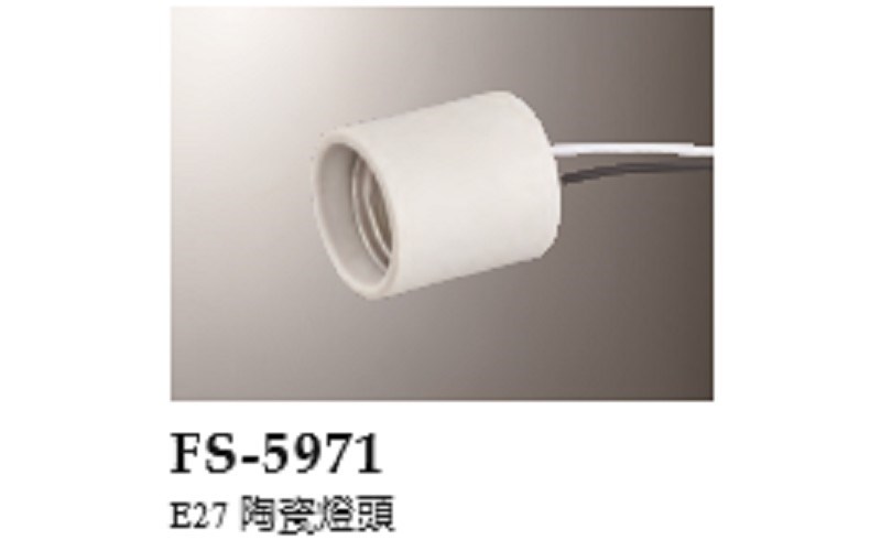 FS-5971