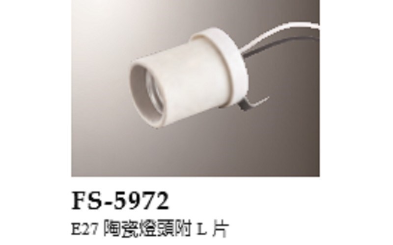 FS-5972