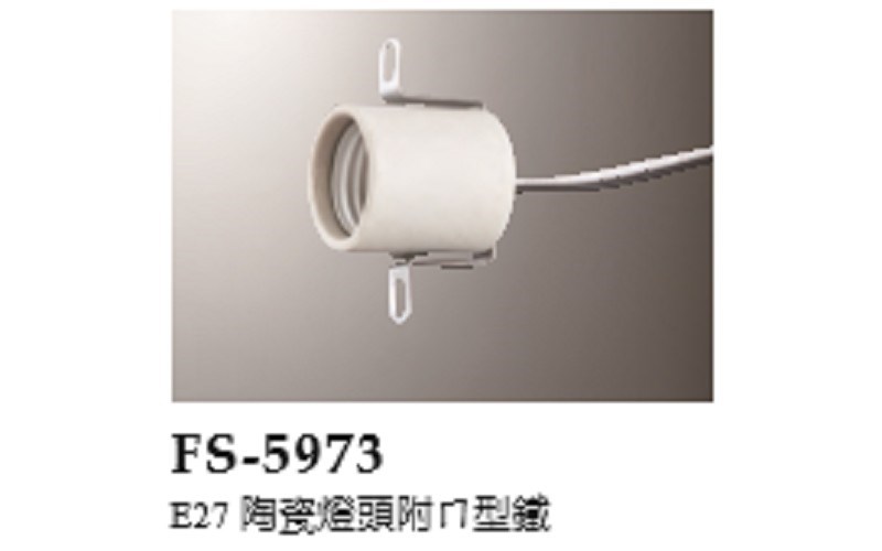 FS-5973
