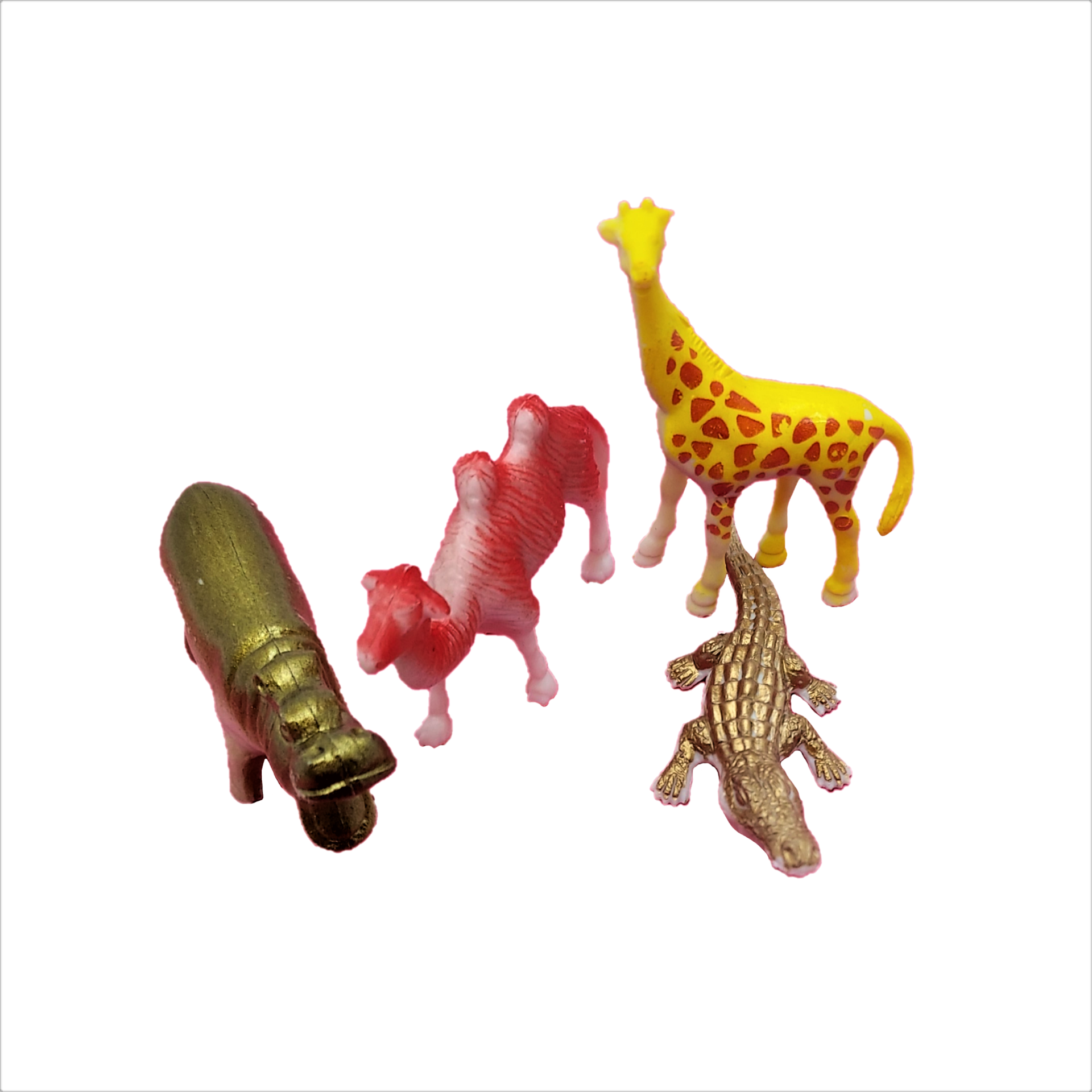 玩具,動物,動物模型,迷你動物