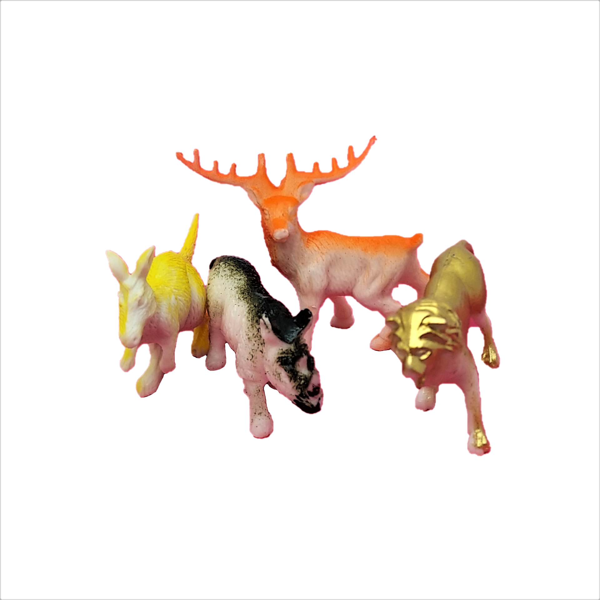 玩具,動物,動物模型,迷你動物