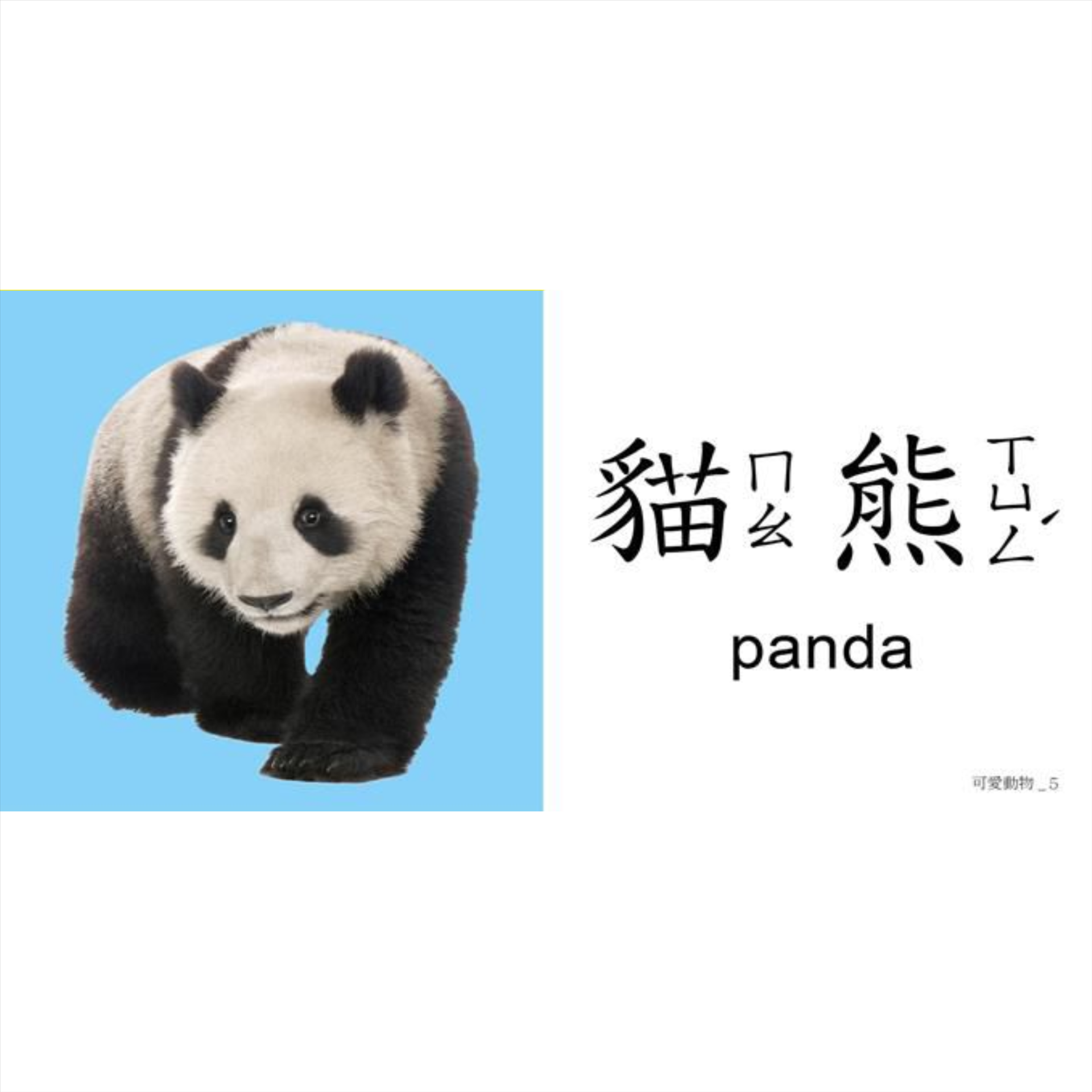聰明認知大圖卡-可愛動物052-01198