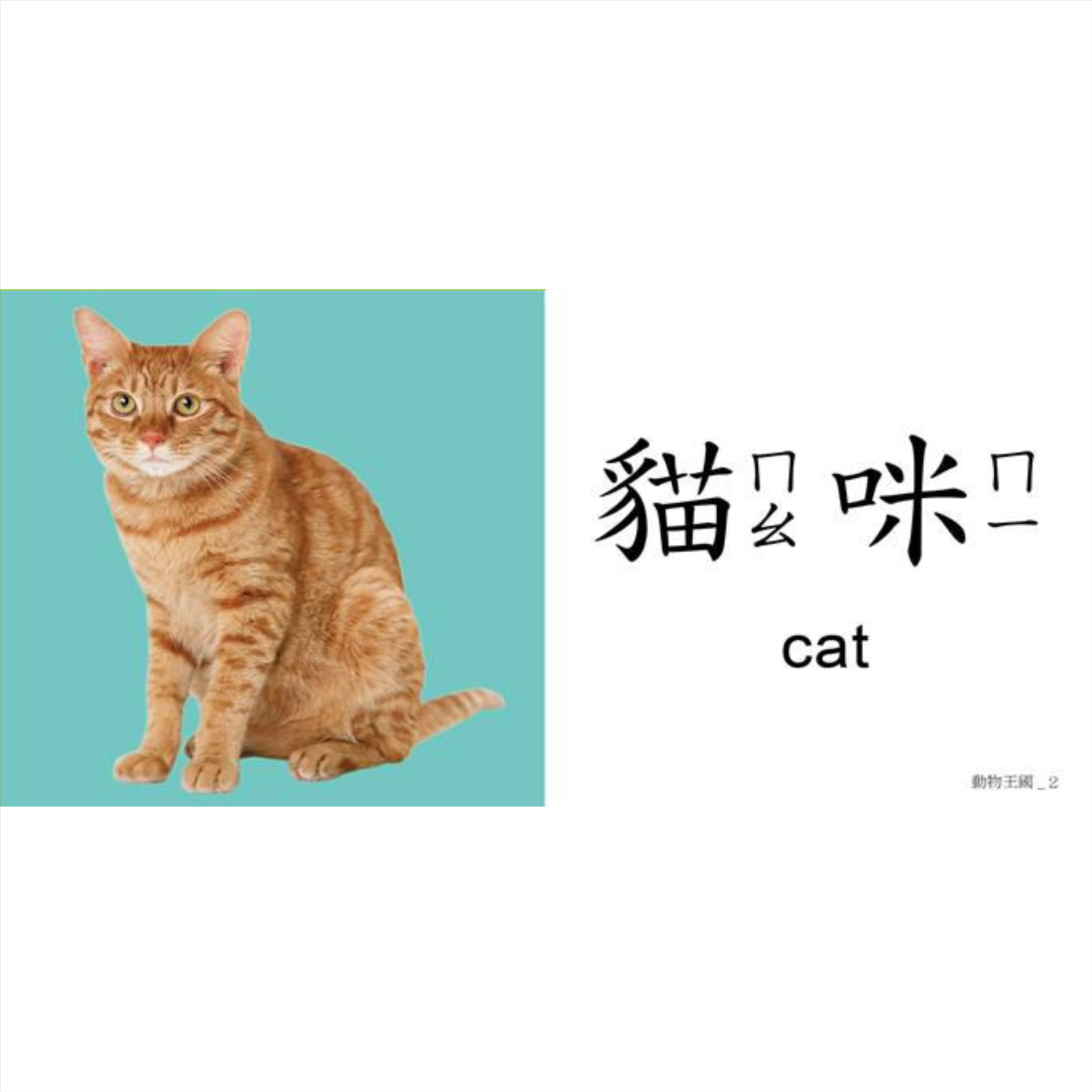 聰明認知大圖卡-動物王國 052-01181