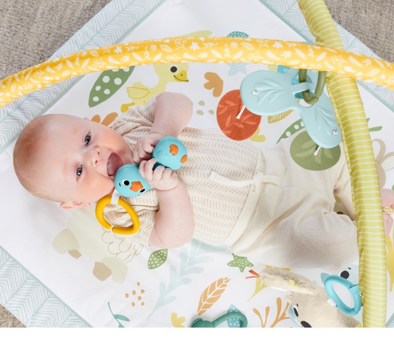 Fisher price 費雪 基礎感官訓練健身器