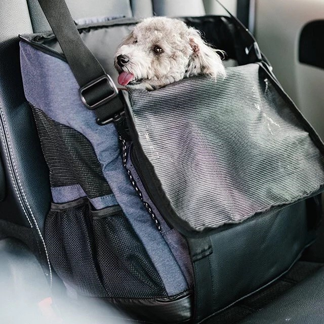 AirBuggy 3 Way Backpack /三用多功能寵物背包