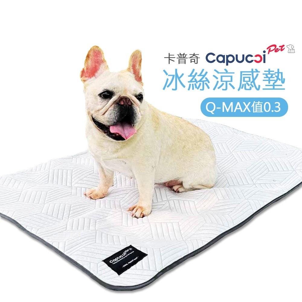 Capucci Pet 卡普奇 冰絲涼感墊