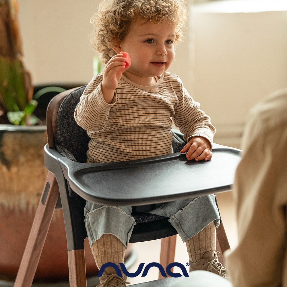 荷蘭Nuna-BRYN餐椅