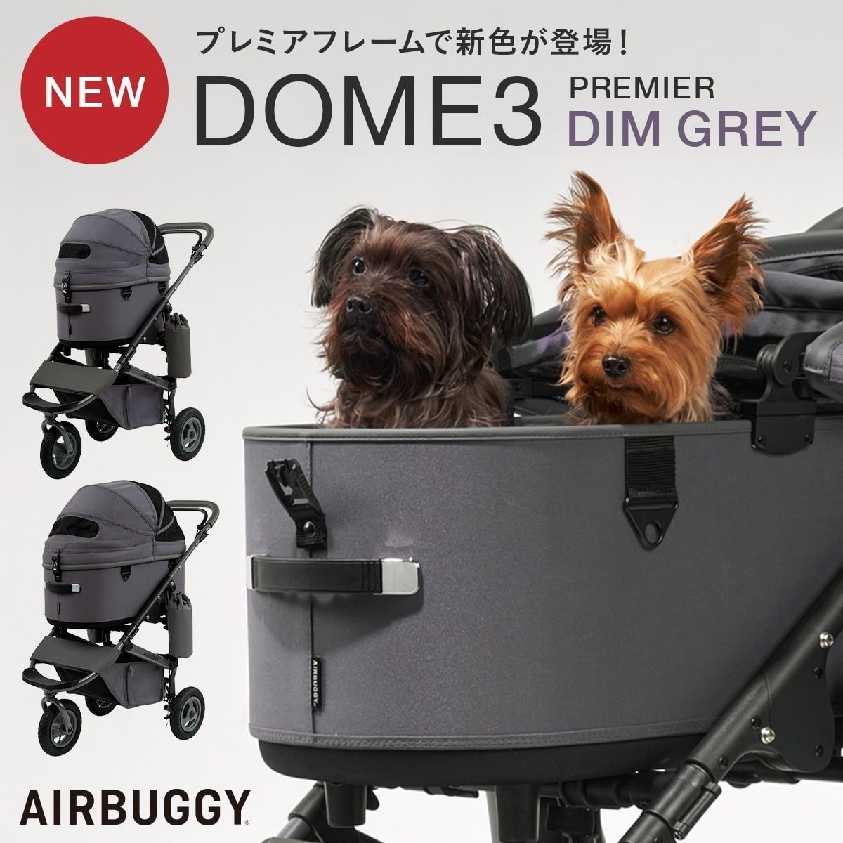 AIRBUGGY DOME3 PREMIER DIM GREY 秋冬限量特別版