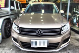 VW 福斯 007 Golf 6 GTD 水箱罩