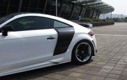 Audi 奧迪 06-14 TTS 碳纖維葉子板