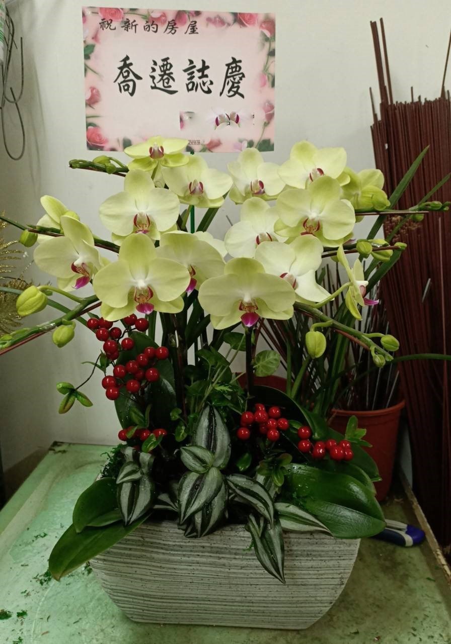 蘭花