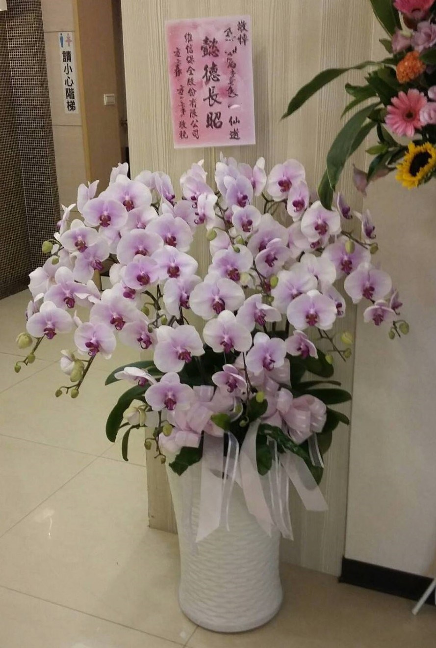 蘭花