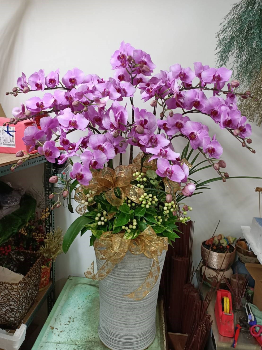 蘭花