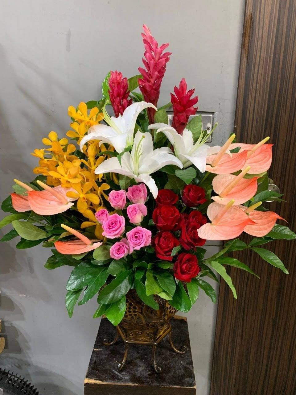 盆花