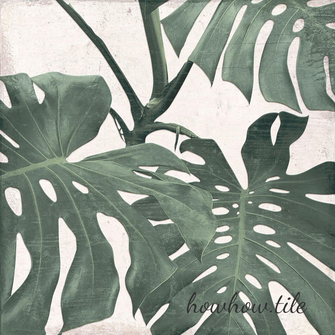 西班牙進口 叢林花磚-綠色 另有素磚可以搭配（25*25cm)GY392.452