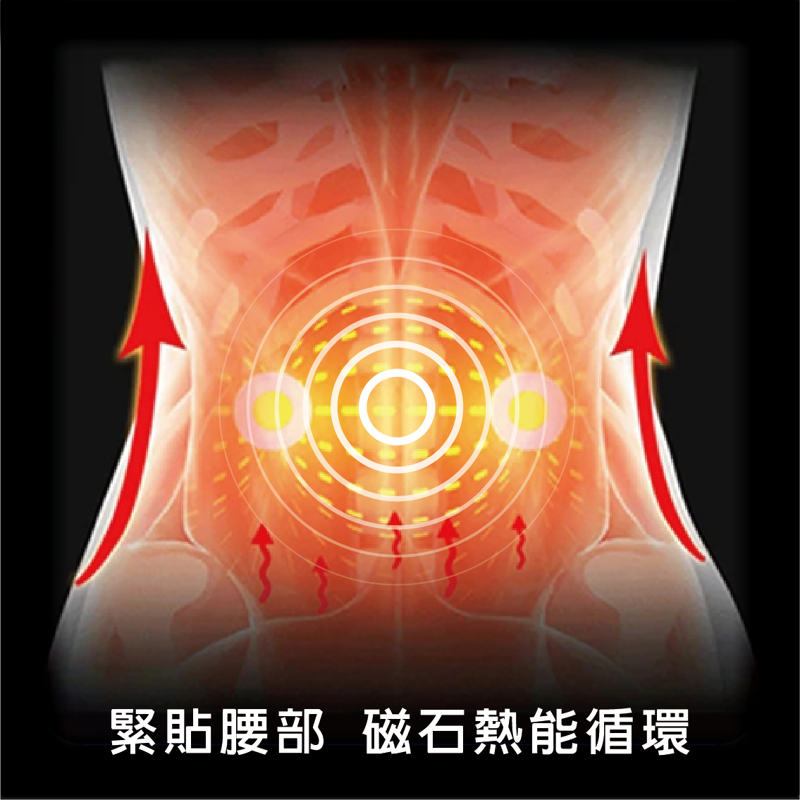 【安德森 保羅】 醫護用石墨烯 - 能量石遠紅外線護腰