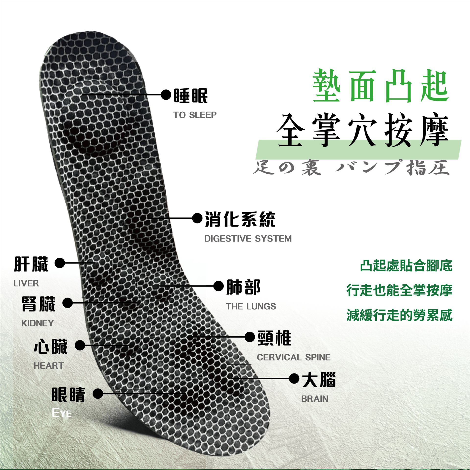 【安德森 保羅】石墨烯艾草磁石鞋墊