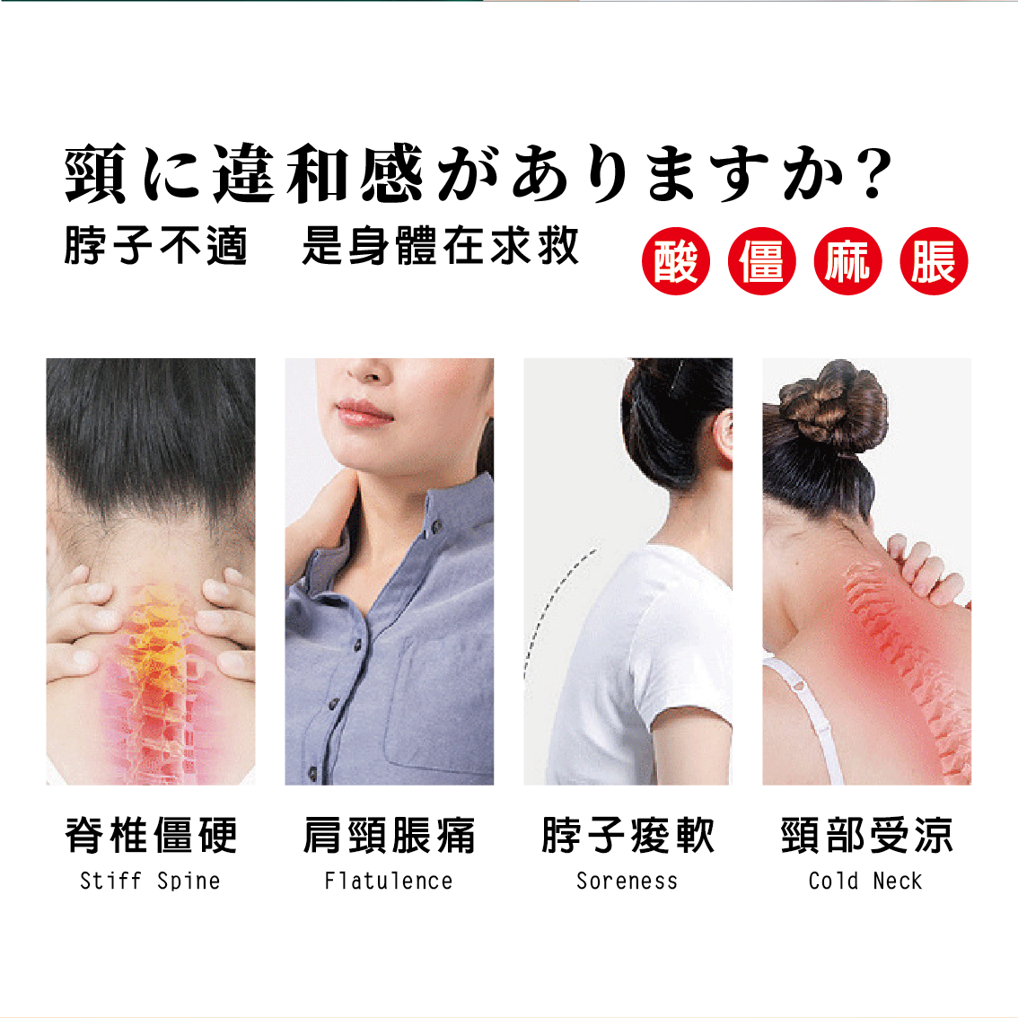 【安德森 保羅】石墨烯蒸氣暖頸貼