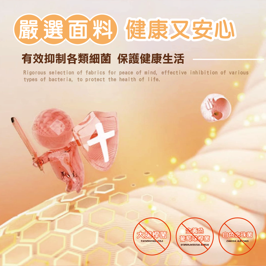 【安德森 保羅】雲朵絨 吸水毛巾 三入組