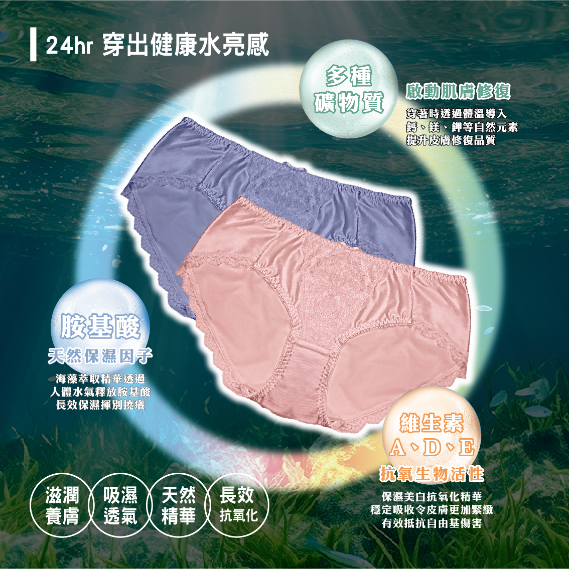 【安德森 保羅】海藻石墨烯蕾絲絲光內褲