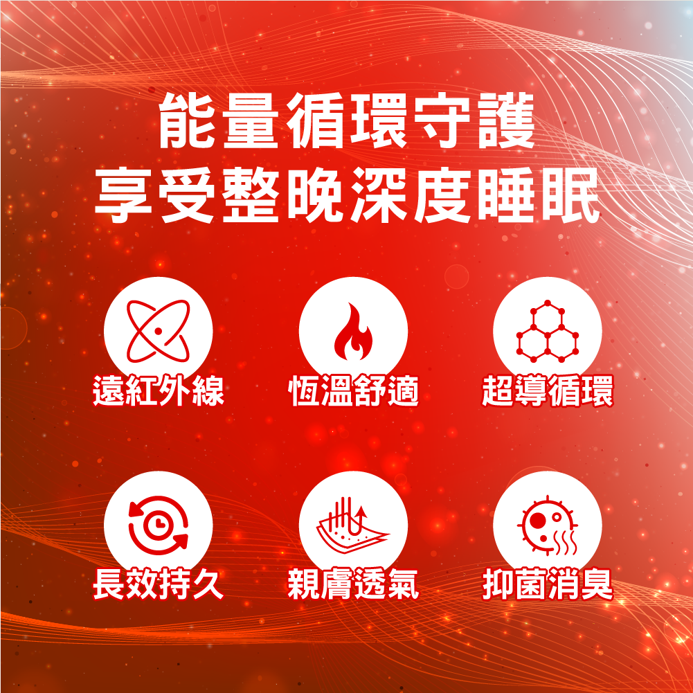 【安德森 保羅】石墨烯黑曜 循環枕頭套