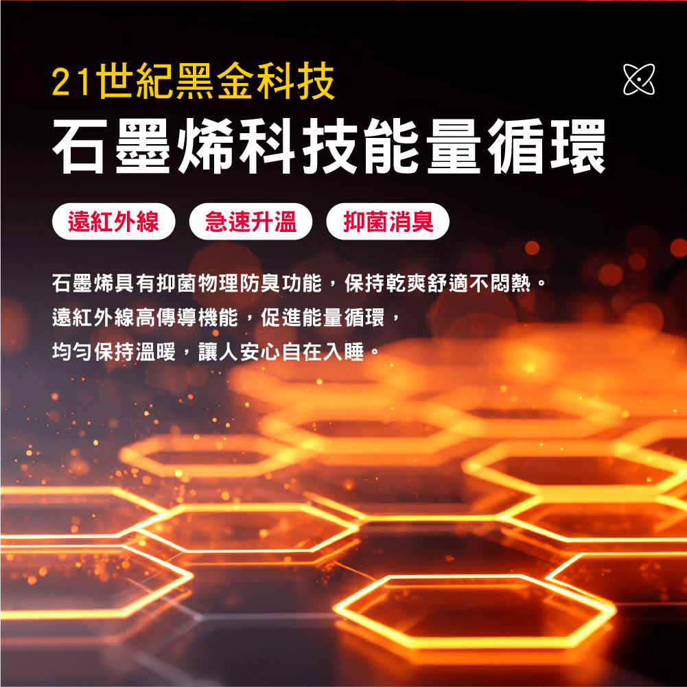 【安德森 保羅】石墨烯黑曜 循環枕頭套