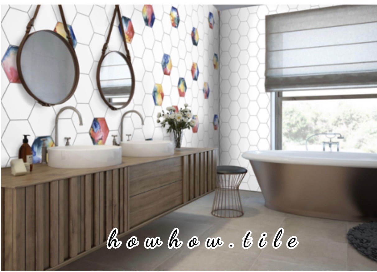 西班牙進口 絢彩六角磚（22*25cm)*AD320