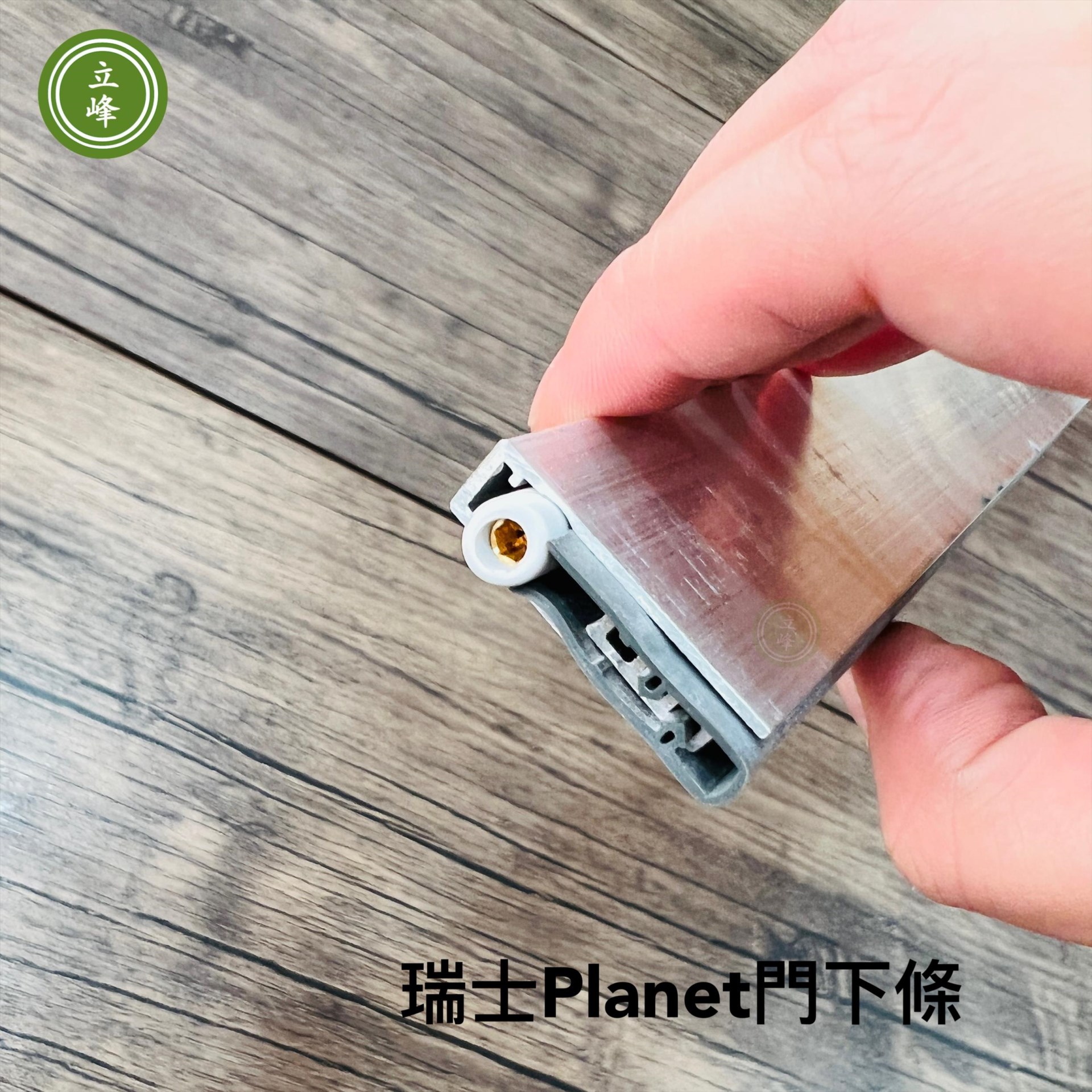 瑞士PLANET-門下條【開門式】
