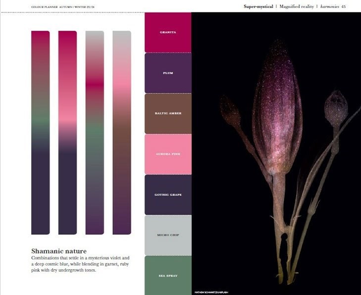 Pantone View Colour Planner  AW 23-24