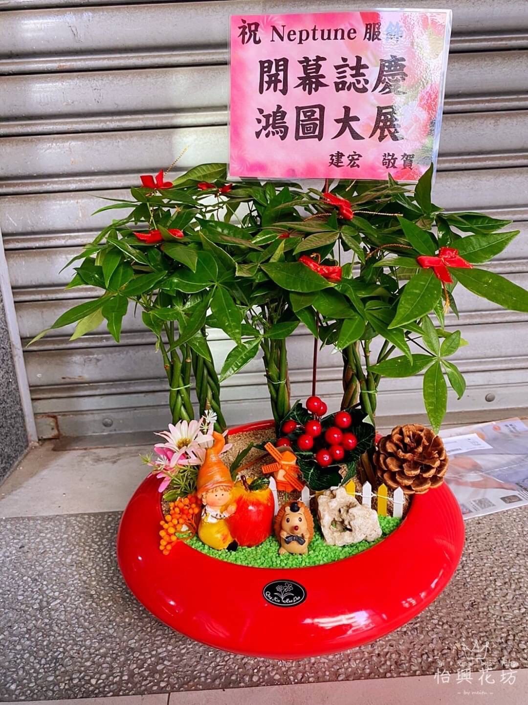 發財樹