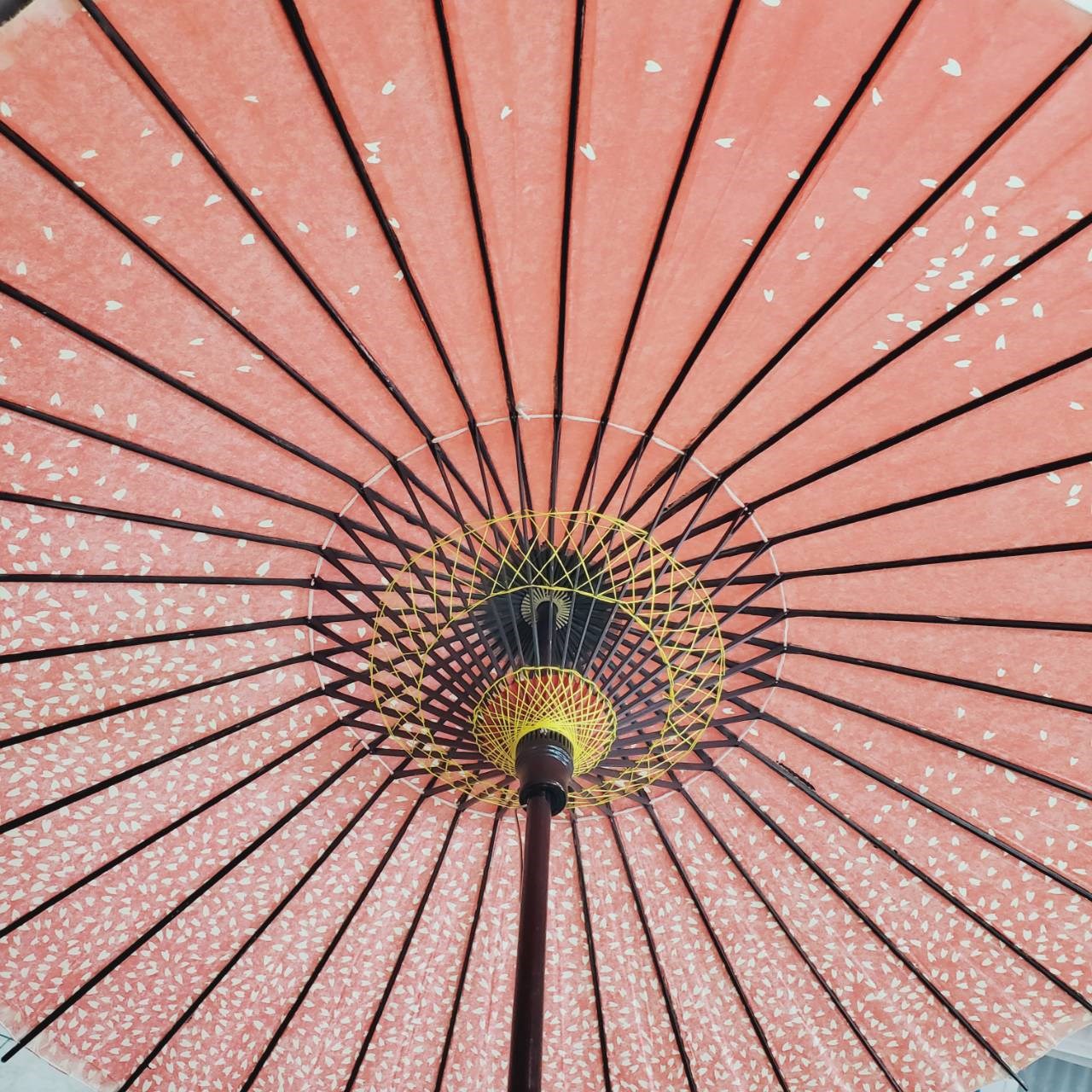 日本油紙傘