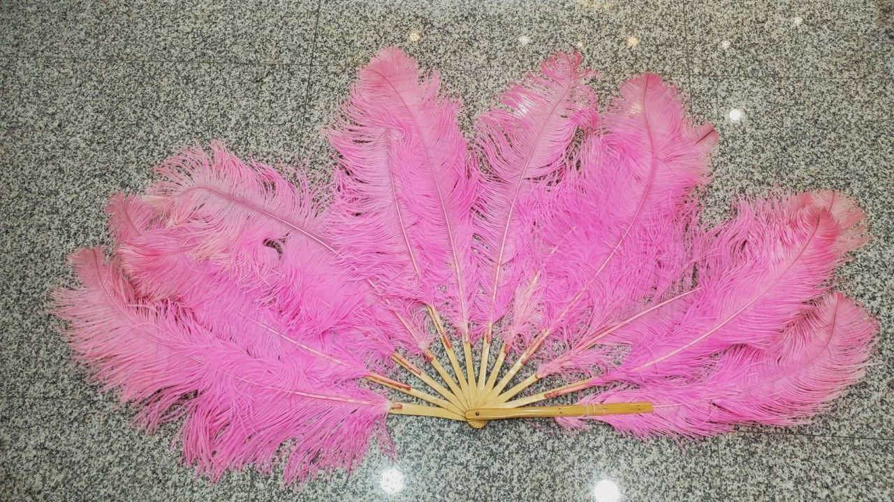 大羽毛扇