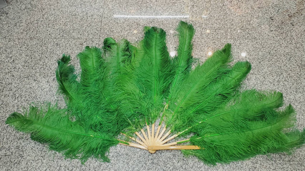 大羽毛扇