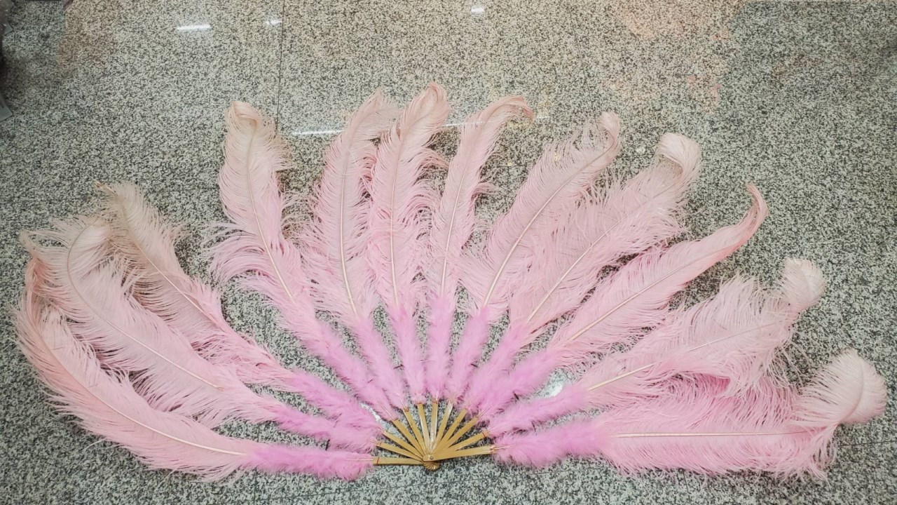 大羽毛扇
