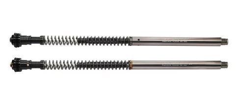 BENELLI Leoncino250 (22) 前叉阻尼系統雙內管匣 倒叉 ( FFC-250-T )