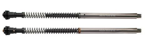 BENELLI TNT300 (16) 前叉阻尼系統雙內管匣 倒叉 ( FFC-250-T )