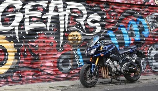 YAMAHA FZ1 S Fazer (06)/FZ1 (08) 前叉阻尼系統雙內管匣 正叉 ( FFC-250-T )